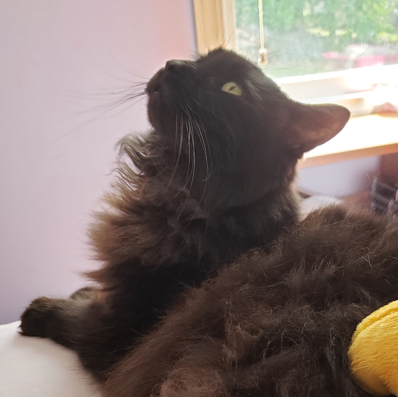 Meet your Posher, Jordan - Picture 6 of 8